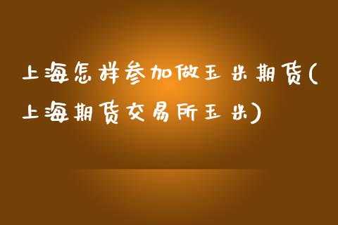 上海怎样参加做玉米期货(上海期货交易所玉米)_https://www.liuyiidc.com_期货软件_第1张