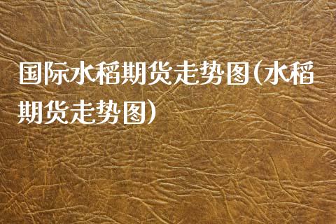 国际水稻期货走势图(水稻期货走势图)_https://www.liuyiidc.com_期货品种_第1张