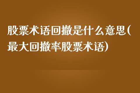 股票术语回撤是什么意思(最大回撤率股票术语)