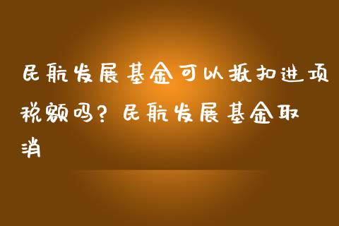 发展基金可以抵扣进项税额吗? 发展基金取消