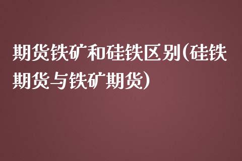 期货铁矿和硅铁区别(硅铁期货与铁矿期货)_https://www.liuyiidc.com_期货直播_第1张