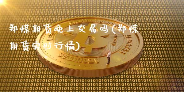 郑煤期货晚上交易吗(郑煤期货实时行情)_https://www.liuyiidc.com_期货理财_第1张