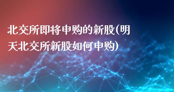 北交所即将申购的新股(明天北交所新股如何申购)_https://www.liuyiidc.com_期货知识_第1张