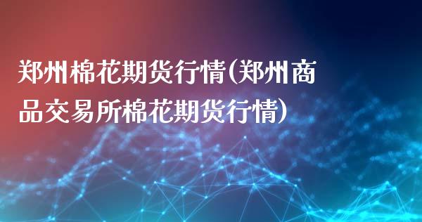 郑州棉花期货行情(郑州商品交易所棉花期货行情)_https://www.liuyiidc.com_国际期货_第1张