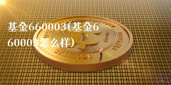 基金660003(基金660003怎么样)_https://www.liuyiidc.com_股票理财_第1张