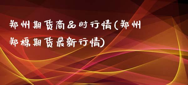 郑州期货商品时行情(郑州郑棉期货最新行情)_https://www.liuyiidc.com_理财百科_第1张