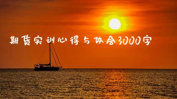 期货实训心得与体会3000字_https://www.liuyiidc.com_期货交易所_第1张