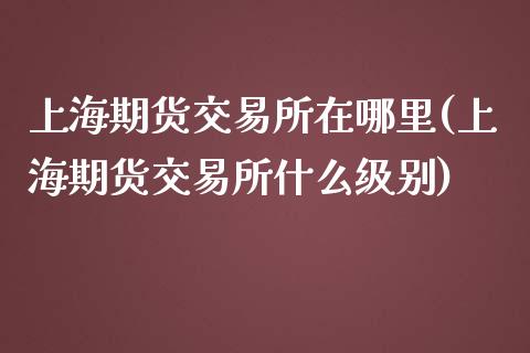 上海期货交易所在哪里(上海期货交易所什么级别)_https://www.liuyiidc.com_国际期货_第1张