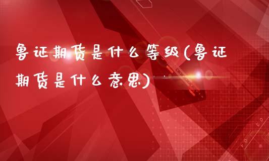 鲁证期货是什么等级(鲁证期货是什么意思)_https://www.liuyiidc.com_期货知识_第1张