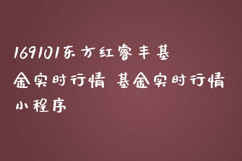 169101红睿丰基金实时行情 基金实时行情小