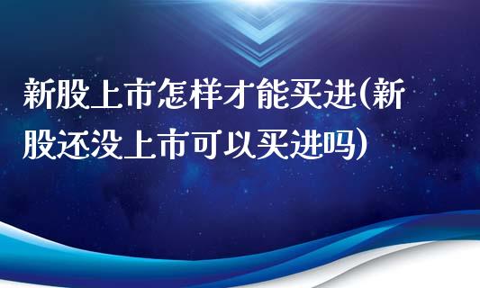 新股上市怎样才能买进(新股还没上市可以买进吗)_https://www.liuyiidc.com_期货理财_第1张