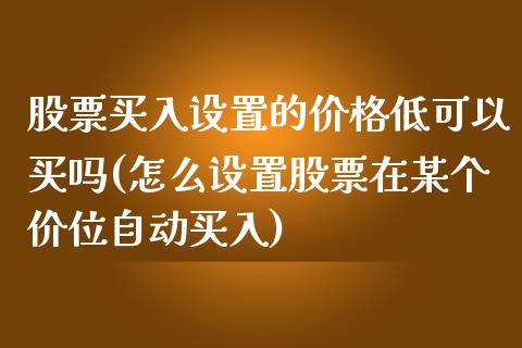 股票买入设置的低可以买吗(怎么设置股票在某个价位自动买入)_https://www.liuyiidc.com_股票理财_第1张