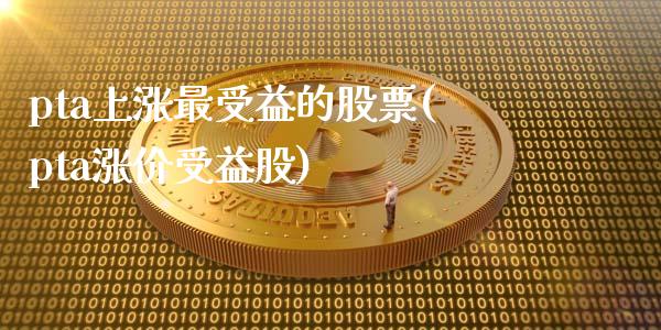 pta上涨最受益的股票(pta涨价受益股)_https://www.liuyiidc.com_基金理财_第1张