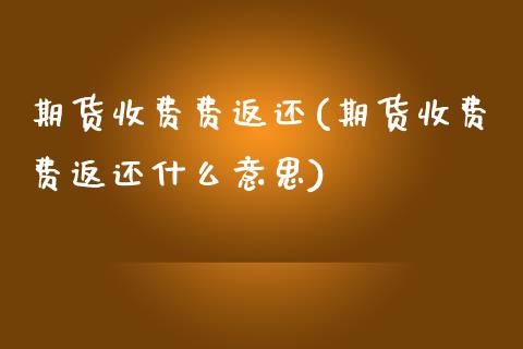 期货收费费返还(期货收费费返还什么意思)_https://www.liuyiidc.com_期货软件_第1张