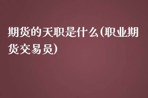 期货的天职是什么(职业期货交易员)_https://www.liuyiidc.com_期货品种_第1张