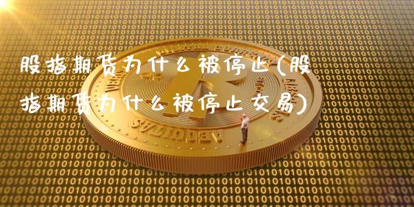 股指期货为什么被停止(股指期货为什么被停止交易)_https://www.liuyiidc.com_期货交易所_第1张