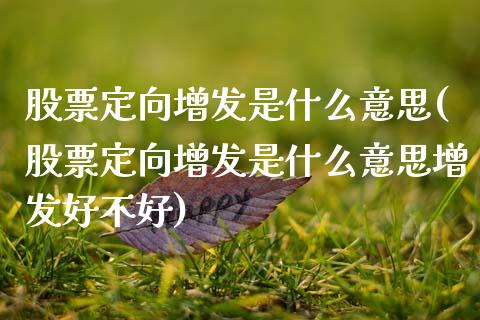 股票定向增发是什么意思(股票定向增发是什么意思增发好不好)_https://www.liuyiidc.com_股票理财_第1张