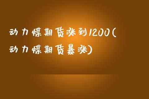 动力煤期货涨到1200(动力煤期货暴涨)_https://www.liuyiidc.com_期货软件_第1张