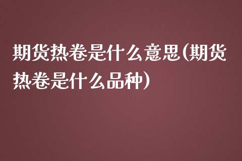 期货热卷是什么意思(期货热卷是什么品种)_https://www.liuyiidc.com_理财品种_第1张