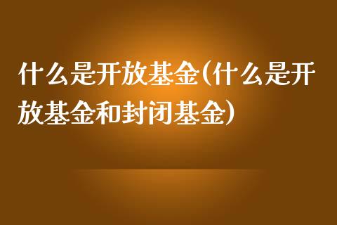 什么是**基金(什么是**基金和封闭基金)_https://www.liuyiidc.com_股票理财_第1张