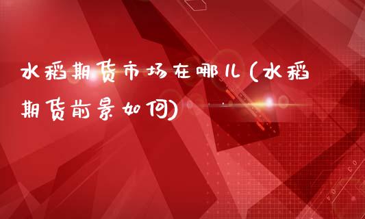 水稻期货市场在哪儿(水稻期货前景如何)_https://www.liuyiidc.com_理财品种_第1张