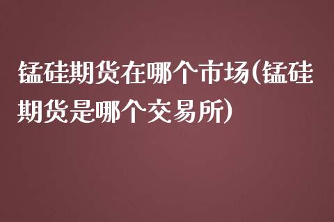 锰硅期货在哪个市场(锰硅期货是哪个交易所)_https://www.liuyiidc.com_恒生指数_第1张