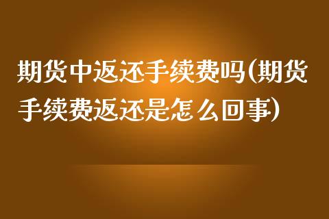 期货中返还手续费吗(期货手续费返还是怎么回事)_https://www.liuyiidc.com_期货知识_第1张