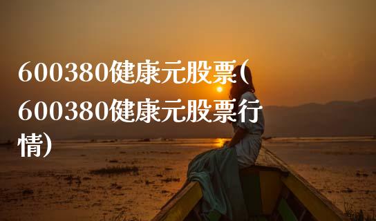 600380健康元股票(600380健康元股票行情)_https://www.liuyiidc.com_股票理财_第1张