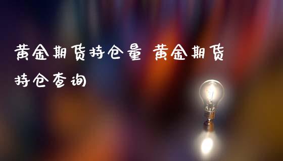 黄金期货持仓量 黄金期货持仓查询_https://www.liuyiidc.com_黄金期货_第1张