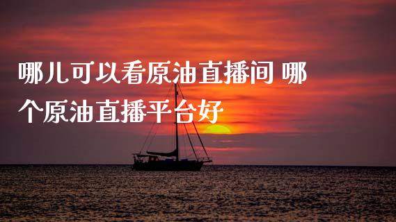 哪儿可以看原油直播间 哪个原油直播平台好_https://www.liuyiidc.com_原油直播室_第1张