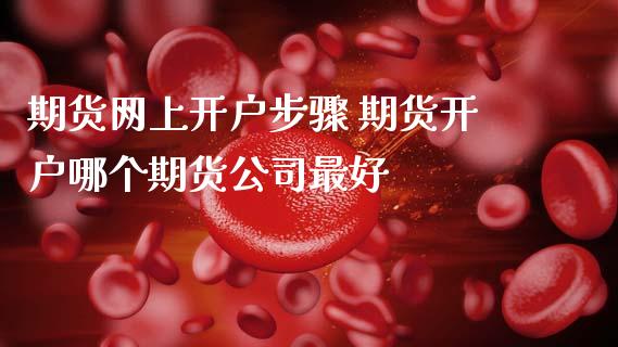 期货网上步骤 期货哪个期货最好_https://www.liuyiidc.com_理财百科_第1张