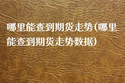 哪里能查到期货走势(哪里能查到期货走势数据)_https://www.liuyiidc.com_期货知识_第1张