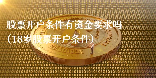 条件有资金要求吗(18岁条件)_https://www.liuyiidc.com_国际期货_第1张