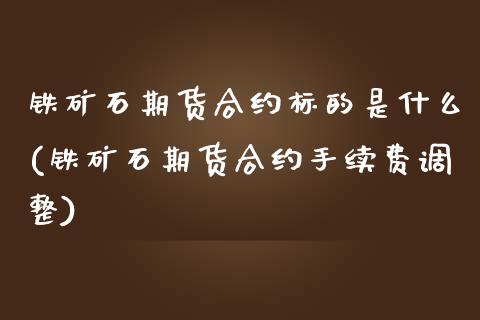 铁矿石期货合约标的是什么(铁矿石期货合约手续费调整)_https://www.liuyiidc.com_财经要闻_第1张