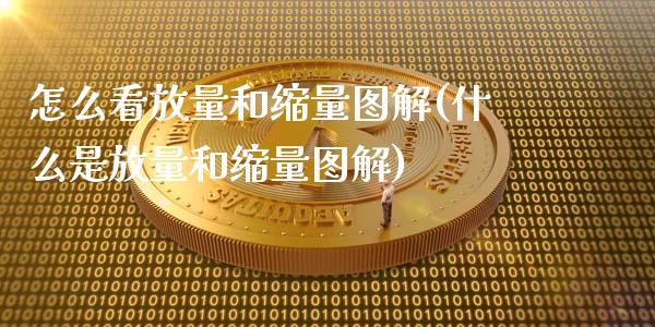 怎么看放量和缩量图解(什么是放量和缩量图解)_https://www.liuyiidc.com_理财百科_第1张