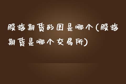 股指期货的图是哪个(股指期货是哪个交易所)_https://www.liuyiidc.com_期货品种_第1张