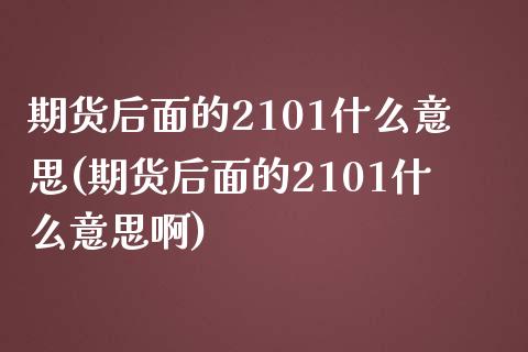 期货后面的2101什么意思(期货后面的2101什么意思啊)_https://www.liuyiidc.com_期货品种_第1张