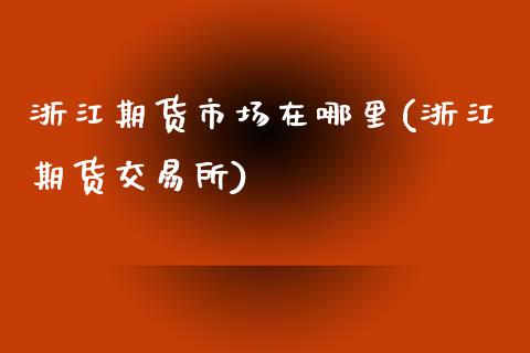 浙江期货市场在哪里(浙江期货交易所)_https://www.liuyiidc.com_理财品种_第1张