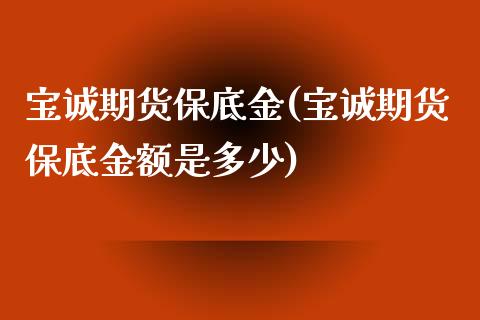 宝诚期货保底金(宝诚期货保底金额是多少)_https://www.liuyiidc.com_期货软件_第1张