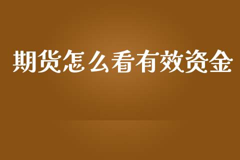 期货怎么看有效资金_https://www.liuyiidc.com_期货理财_第1张