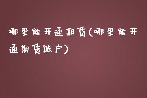 哪里能开通期货(哪里能开通期货账户)_https://www.liuyiidc.com_财经要闻_第1张