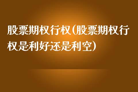 股票期权行权(股票期权行权是利好还是利空)_https://www.liuyiidc.com_股票理财_第1张