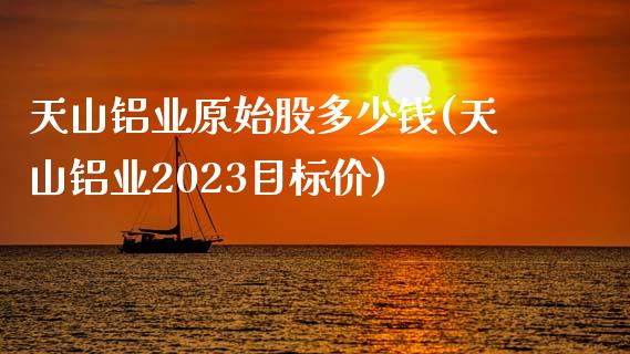 天山铝业原始股多少钱(天山铝业2023目标价)_https://www.liuyiidc.com_理财百科_第1张