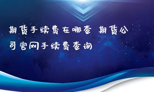 期货手续费在哪查 期货手续费查询_https://www.liuyiidc.com_期货理财_第1张