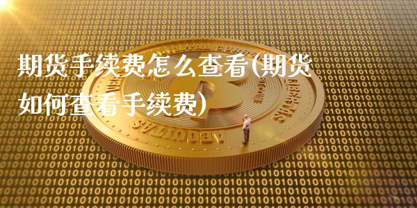 期货手续费怎么查看(期货如何查看手续费)_https://www.liuyiidc.com_理财品种_第1张