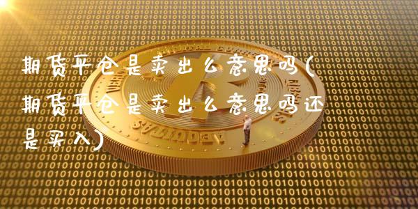 期货平仓是卖出么意思吗(期货平仓是卖出么意思吗还是买入)_https://www.liuyiidc.com_国际期货_第1张