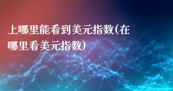 上哪里能看到美元指数(在哪里看美元指数)_https://www.liuyiidc.com_期货知识_第1张