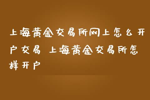 上海黄金交易所网上怎么交易 上海黄金交易所怎样_https://www.liuyiidc.com_黄金期货_第1张