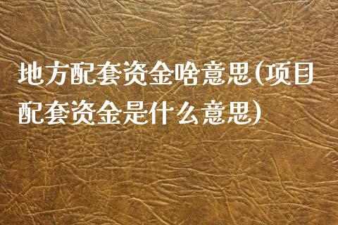 地方配套资金啥意思(项目配套资金是什么意思)_https://www.liuyiidc.com_期货直播_第1张