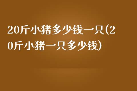 20斤小猪多少钱一只(20斤小猪一只多少钱)_https://www.liuyiidc.com_期货理财_第1张